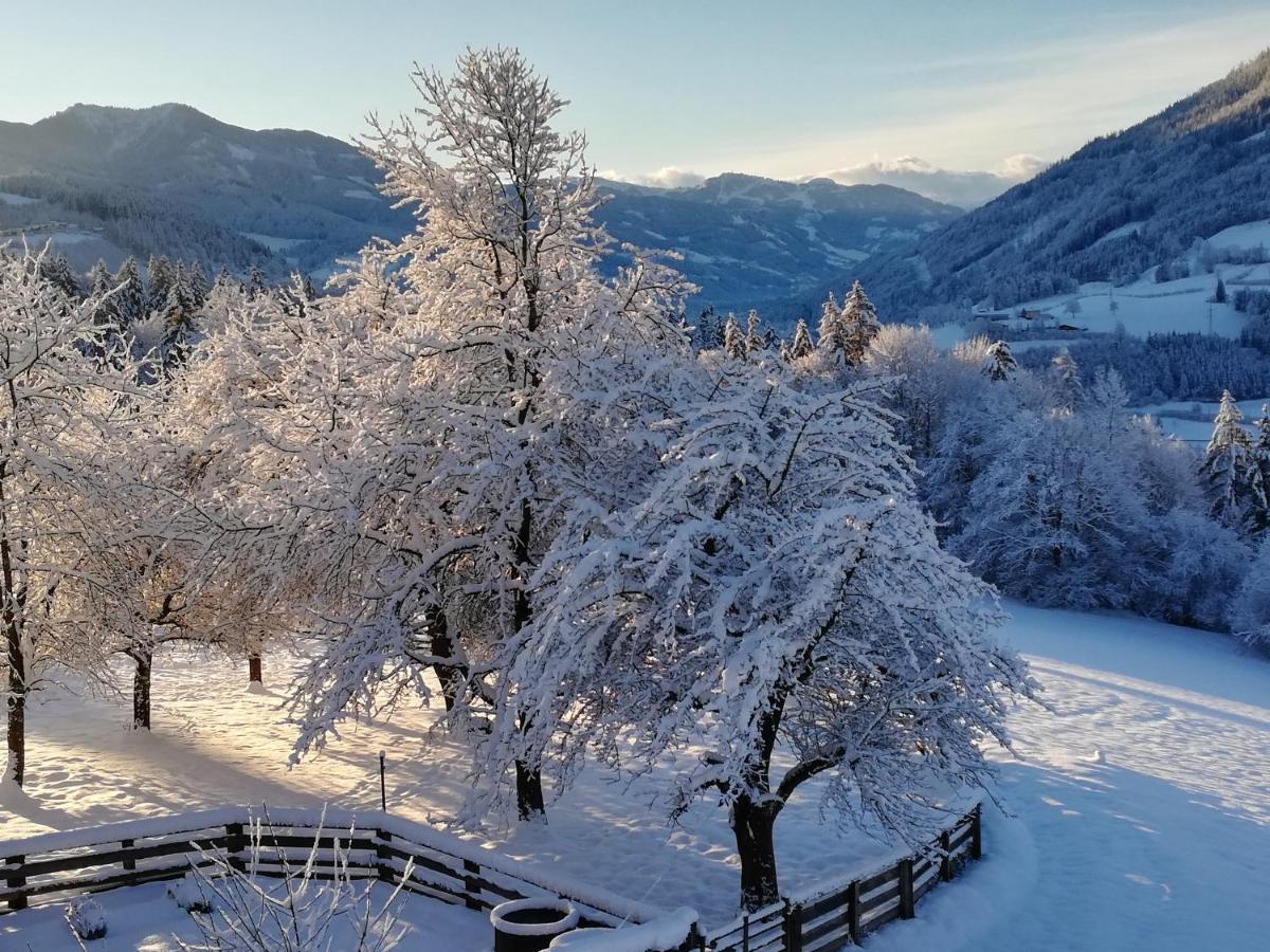 Apartamento Bio-Bauernhof Einberghof Pfarrwerfen Exterior foto