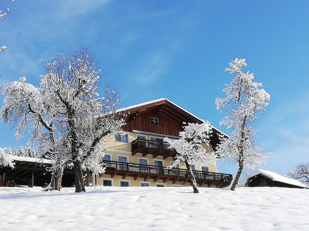 Apartamento Bio-Bauernhof Einberghof Pfarrwerfen Exterior foto