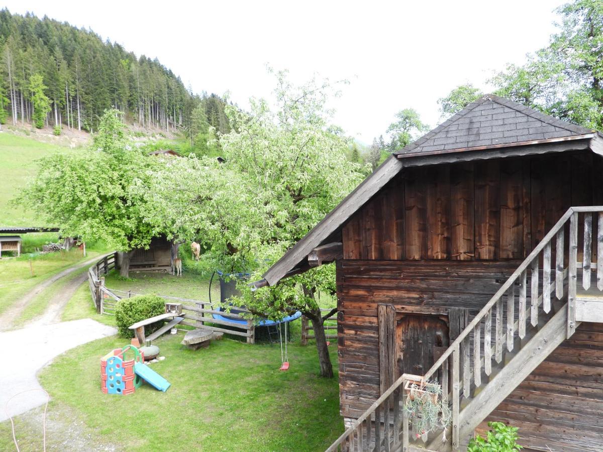 Apartamento Bio-Bauernhof Einberghof Pfarrwerfen Exterior foto