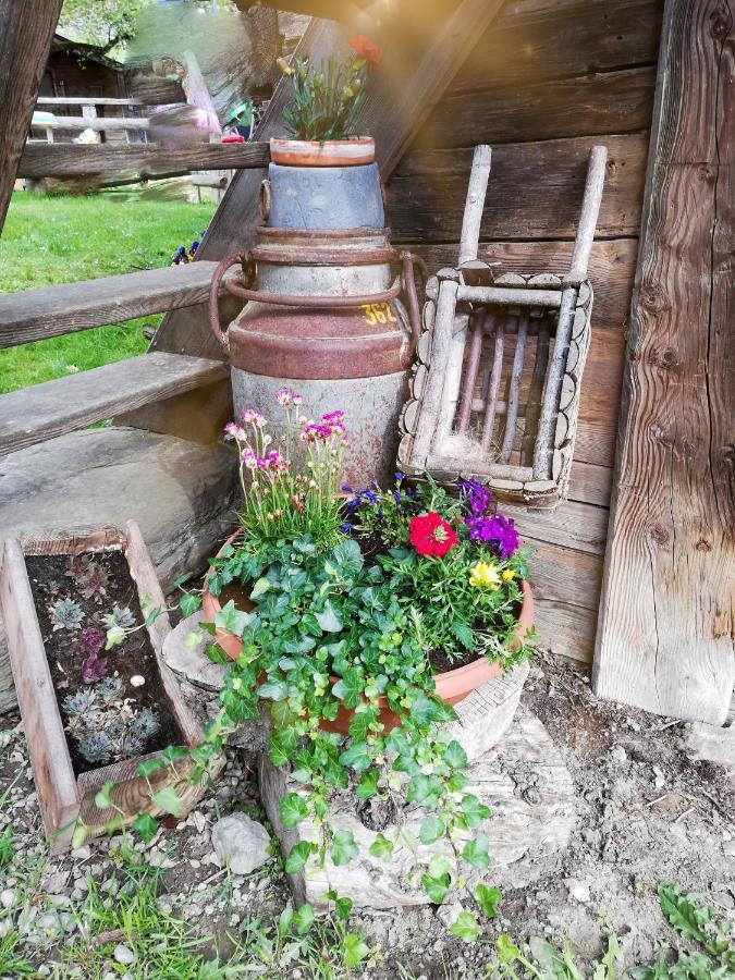 Apartamento Bio-Bauernhof Einberghof Pfarrwerfen Exterior foto