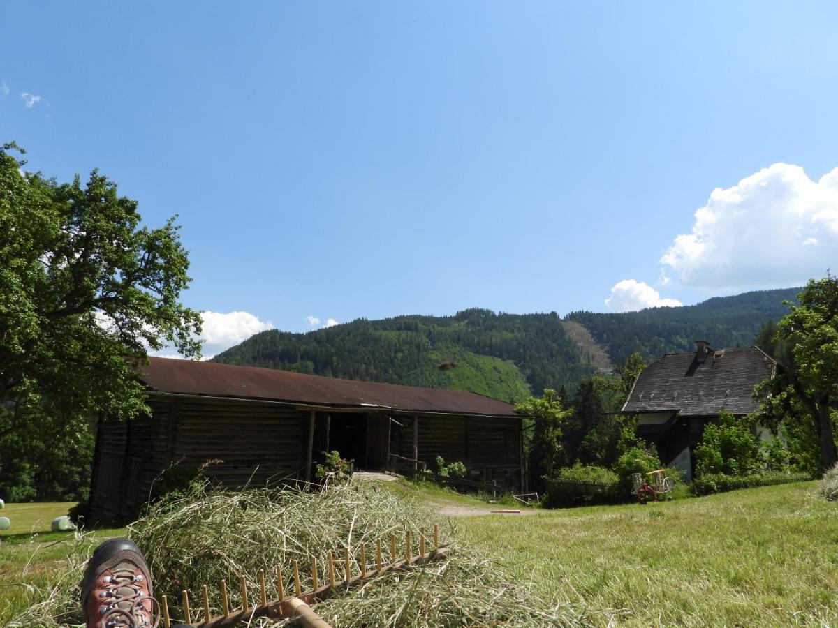 Apartamento Bio-Bauernhof Einberghof Pfarrwerfen Exterior foto