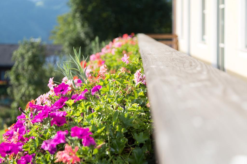 Apartamento Bio-Bauernhof Einberghof Pfarrwerfen Exterior foto