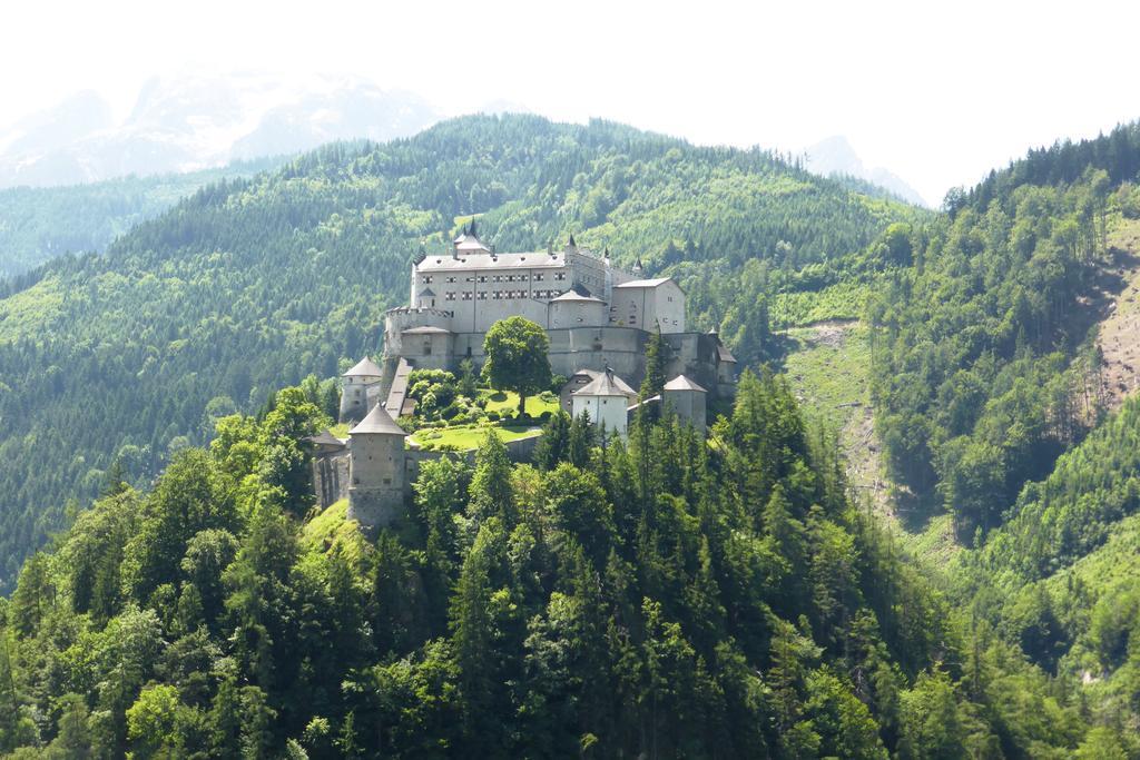 Apartamento Bio-Bauernhof Einberghof Pfarrwerfen Exterior foto