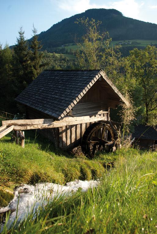 Apartamento Bio-Bauernhof Einberghof Pfarrwerfen Exterior foto