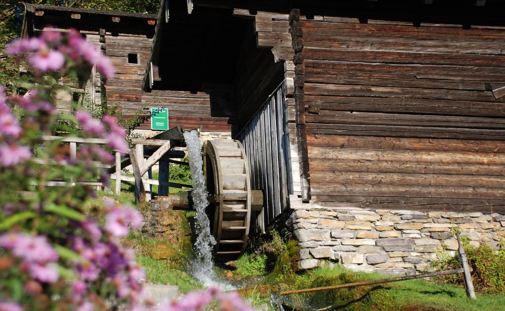 Apartamento Bio-Bauernhof Einberghof Pfarrwerfen Exterior foto