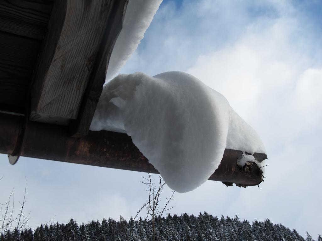 Apartamento Bio-Bauernhof Einberghof Pfarrwerfen Exterior foto