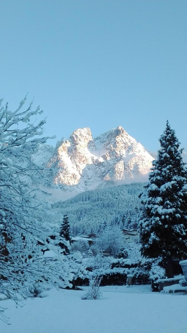 Apartamento Bio-Bauernhof Einberghof Pfarrwerfen Exterior foto